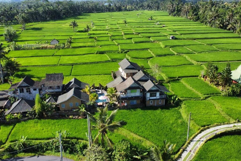 Ananda Jj Ubud Resort & Spa 외부 사진