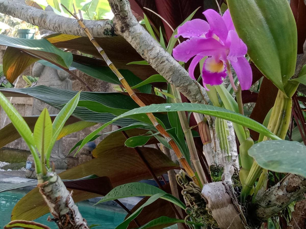 Ananda Jj Ubud Resort & Spa 외부 사진